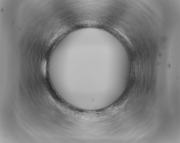 X0000088210024200706051308