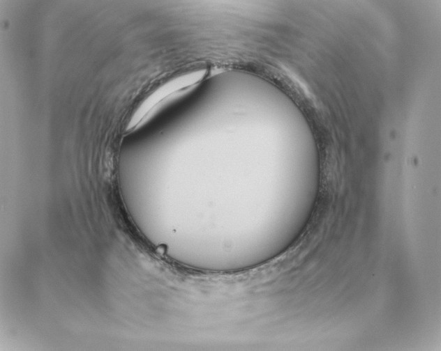 X0000088210025200706051308