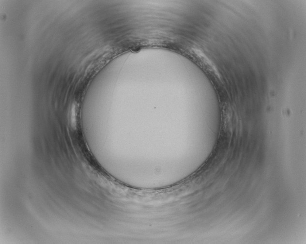 X0000088210026200706051308