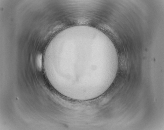 X0000088210028200706051308