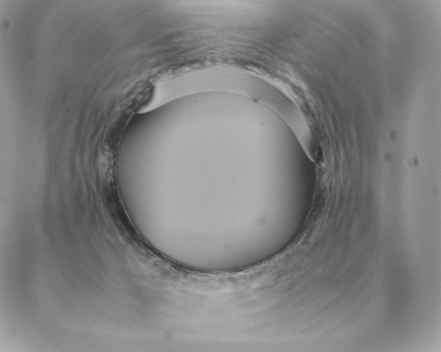 X0000088210029200706051308