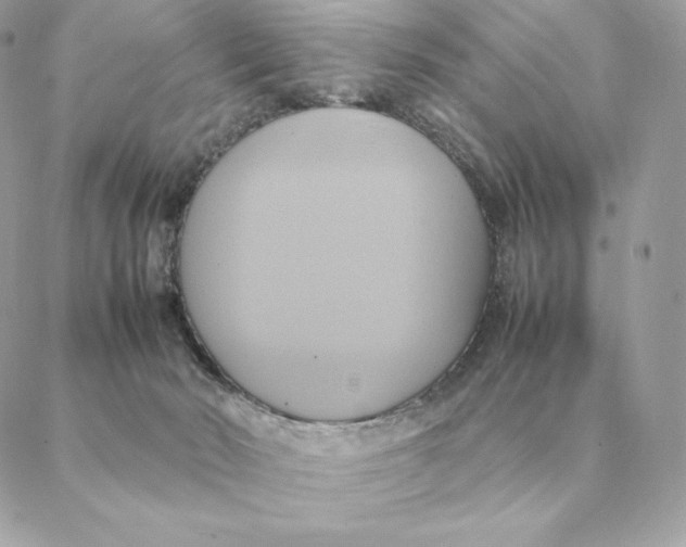 X0000088210030200706051308