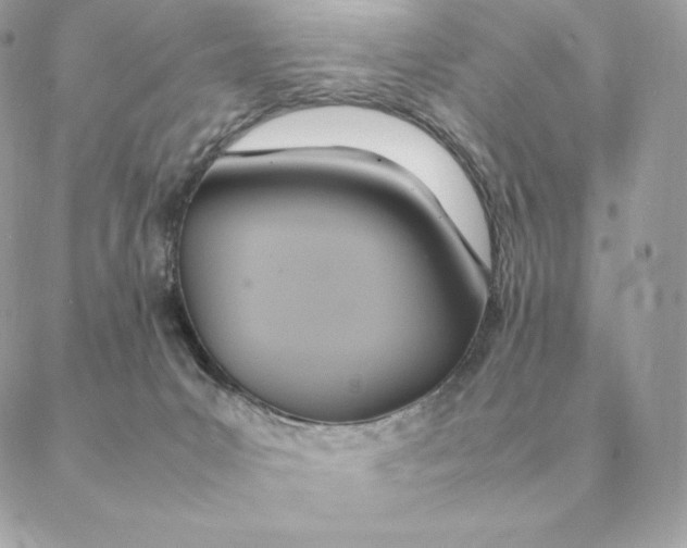 X0000088210031200706051308