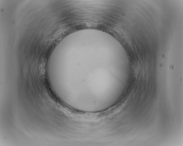 X0000088210032200706051308