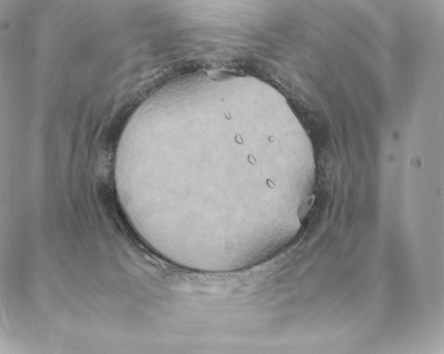 X0000088210033200706051308