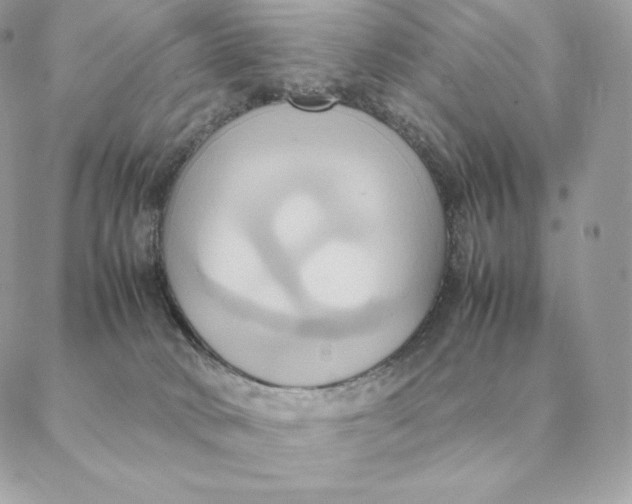 X0000088210034200706051308