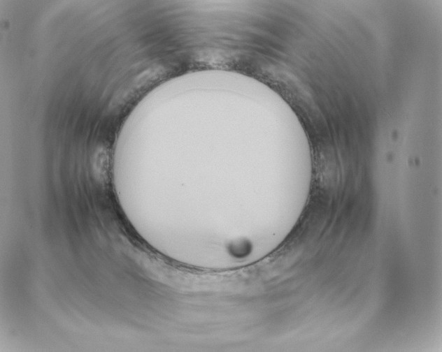 X0000088210036200706051308