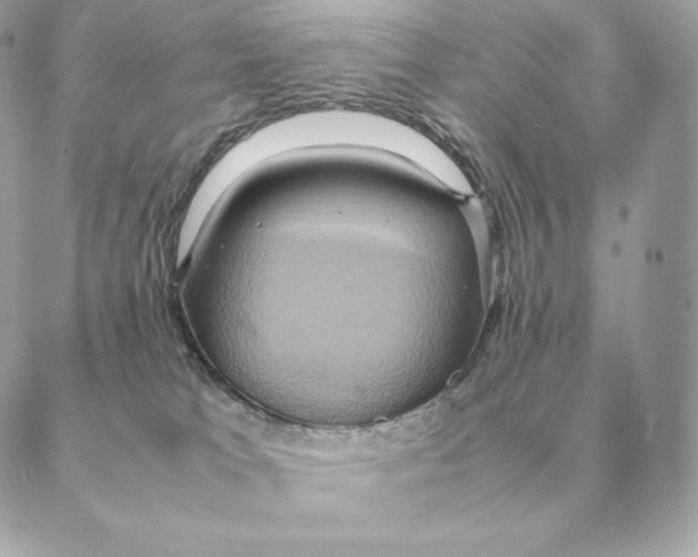 X0000088210037200706051308