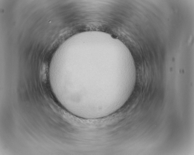 X0000088210038200706051308