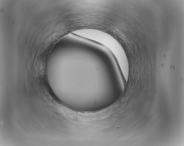 X0000088210039200706051308