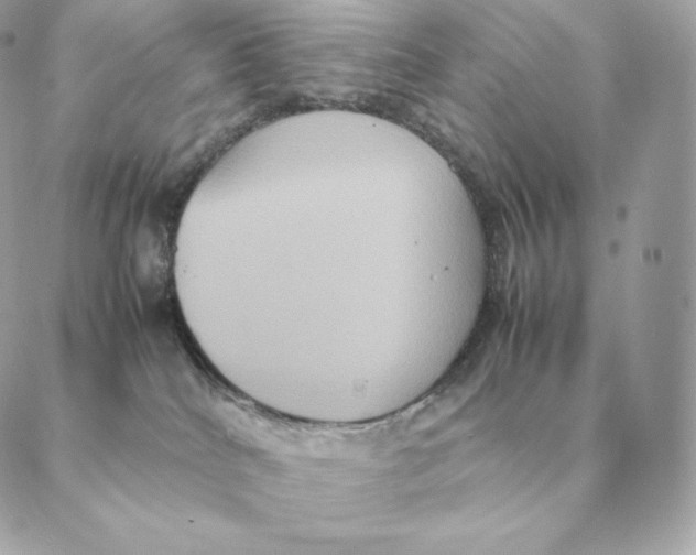 X0000088210040200706051308