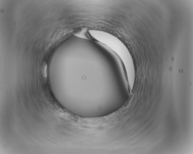 X0000088210041200706051308