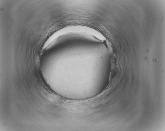 X0000088210045200706051308