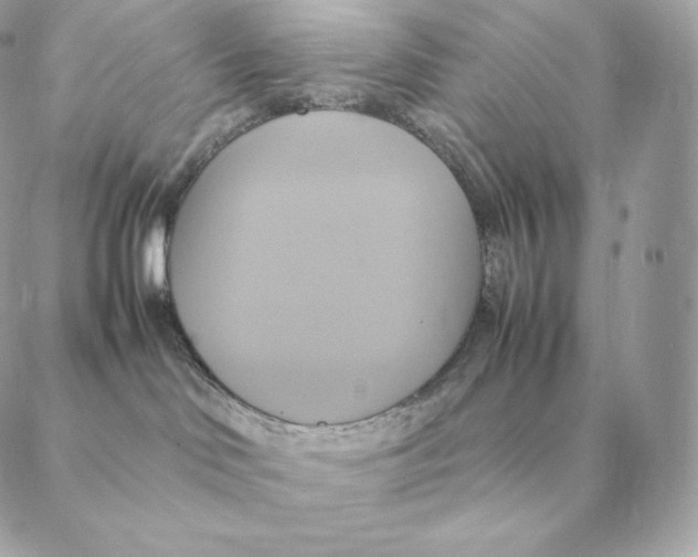 X0000088210046200706051308