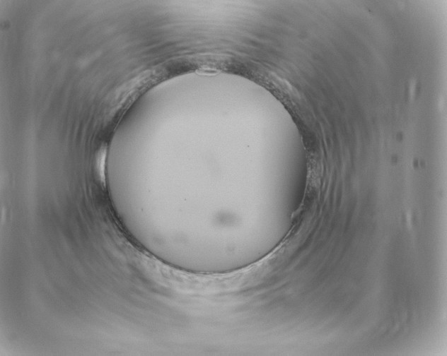 X0000088210047200706051308