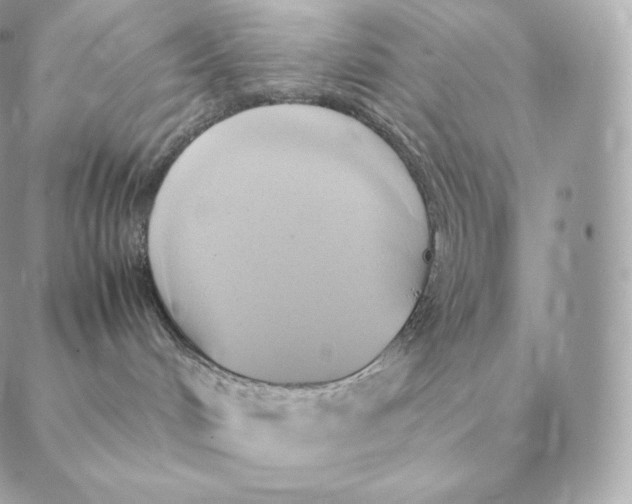 X0000088210048200706051308