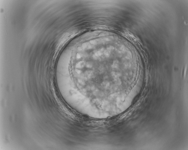 X0000088210049200706051307