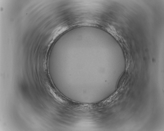 X0000088210050200706051307