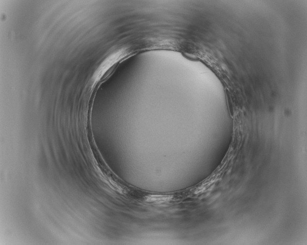 X0000088210051200706051307