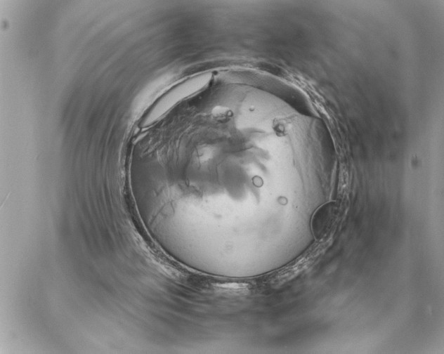 X0000088210053200706051307