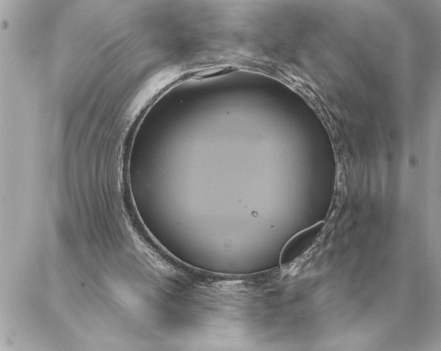 X0000088210054200706051307