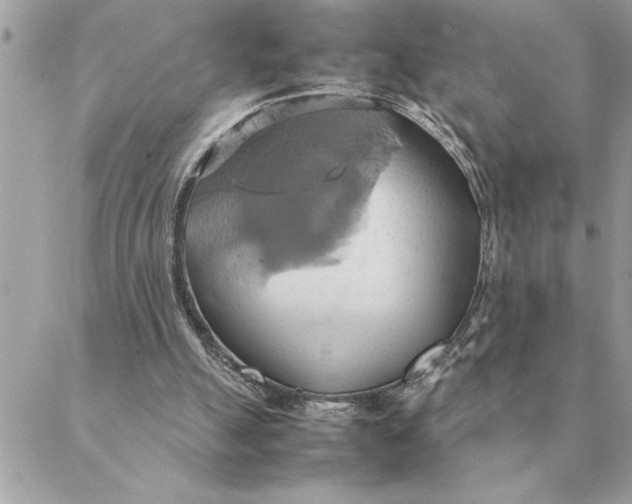 X0000088210055200706051307