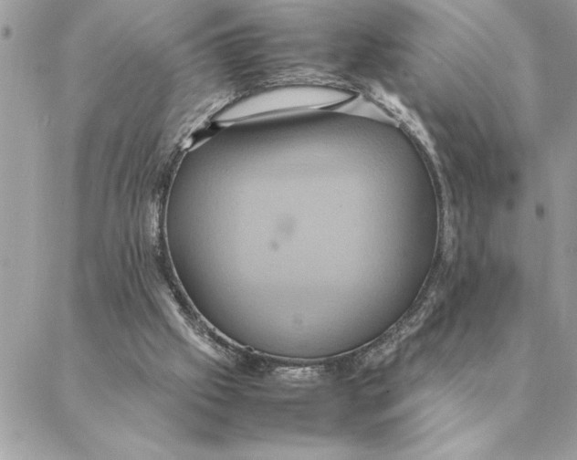 X0000088210057200706051307