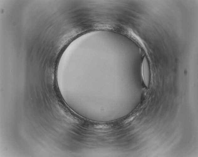 X0000088210059200706051307