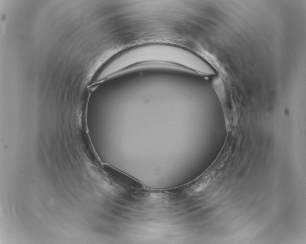 X0000088210060200706051307