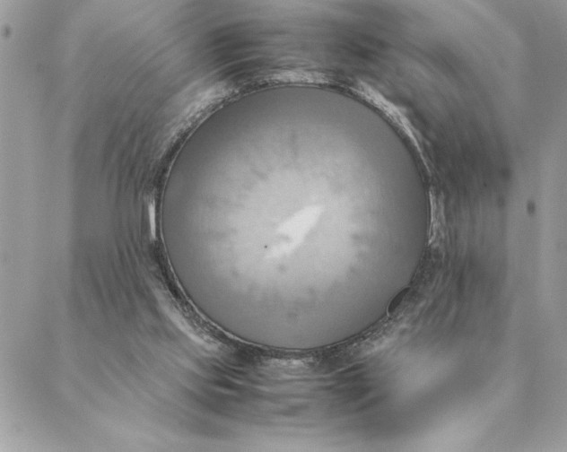 X0000088210061200706051307