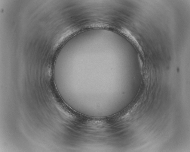 X0000088210063200706051307