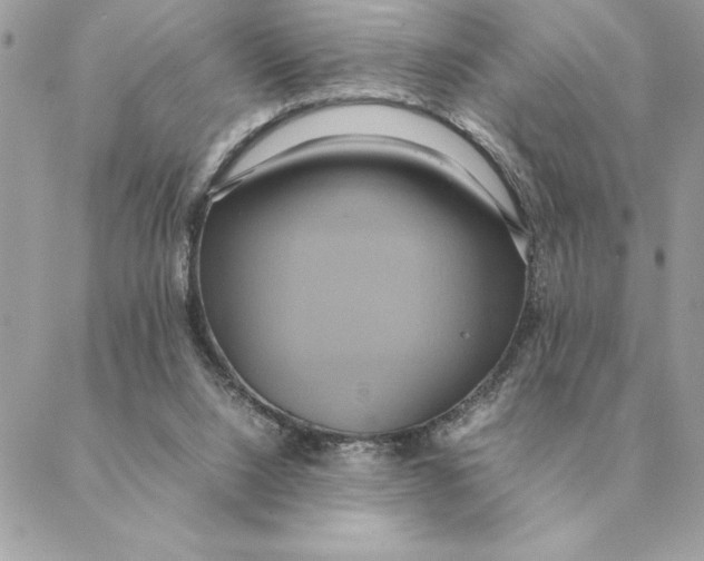 X0000088210064200706051307