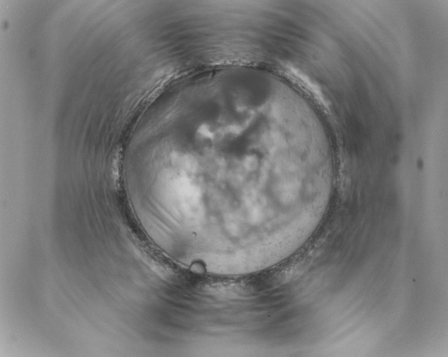 X0000088210065200706051307