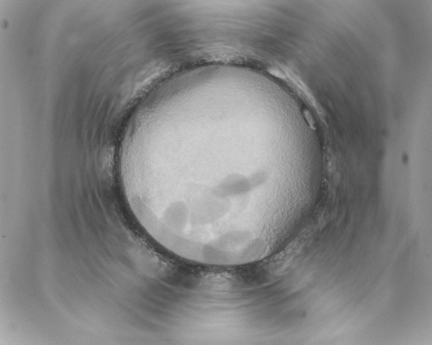 X0000088210066200706051307