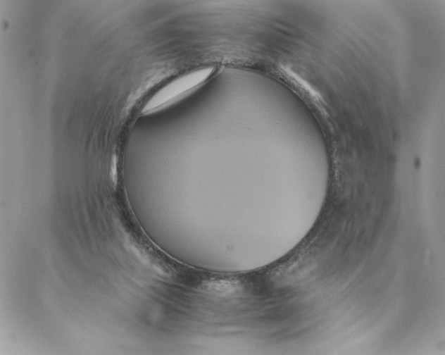 X0000088210067200706051307