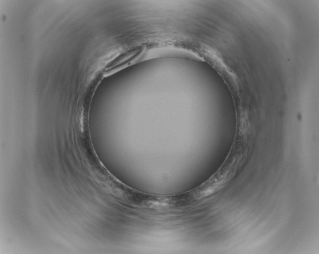 X0000088210068200706051307