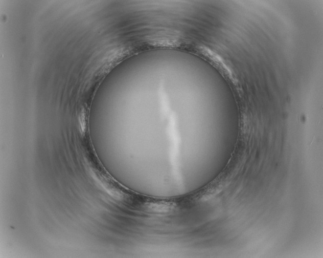 X0000088210069200706051307