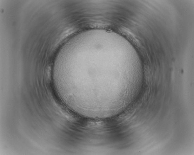 X0000088210071200706051307