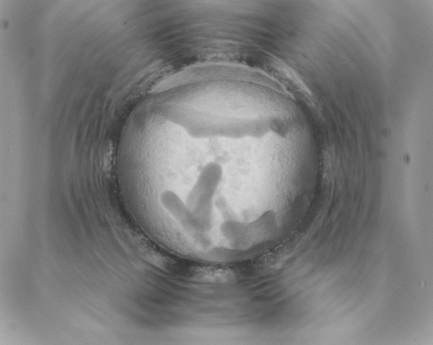 X0000088210073200706051307