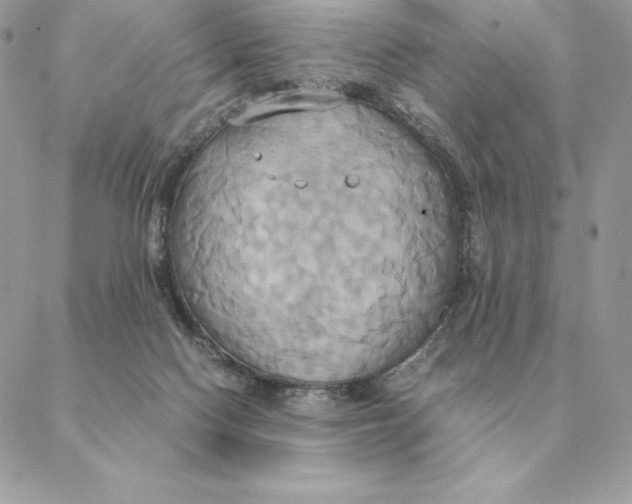 X0000088210074200706051307