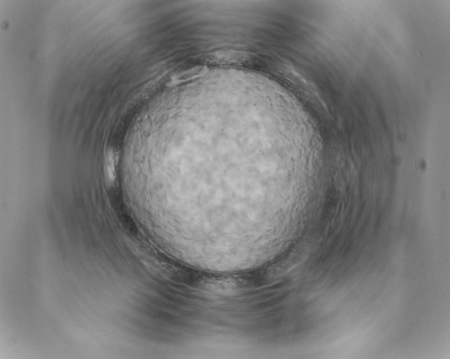 X0000088210075200706051307