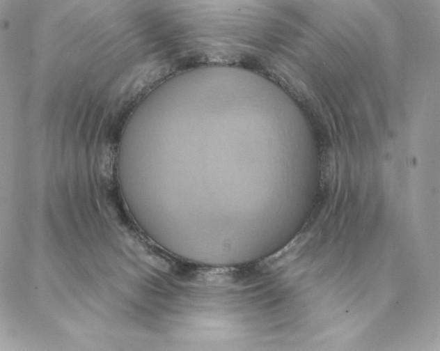 X0000088210078200706051307