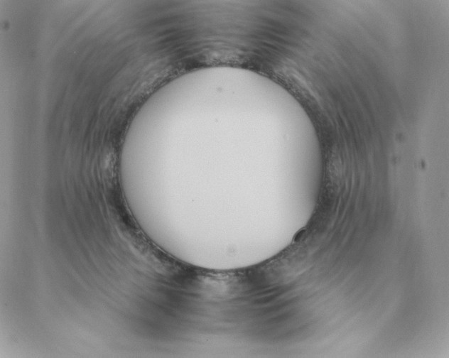 X0000088210079200706051307