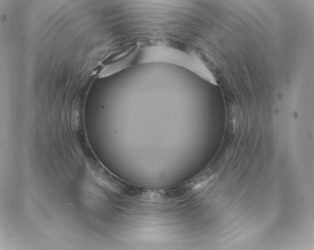 X0000088210080200706051307