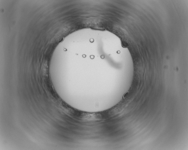 X0000088210083200706051307