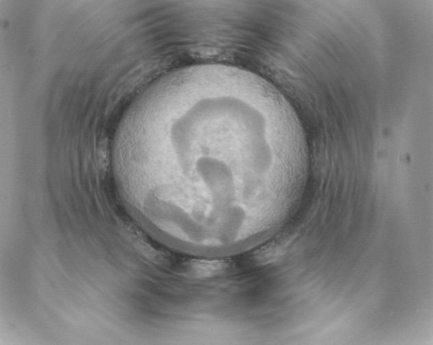 X0000088210085200706051307