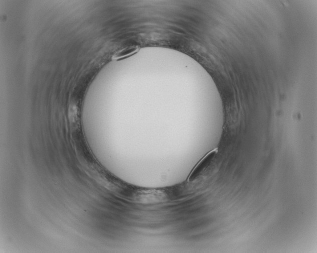 X0000088210087200706051308