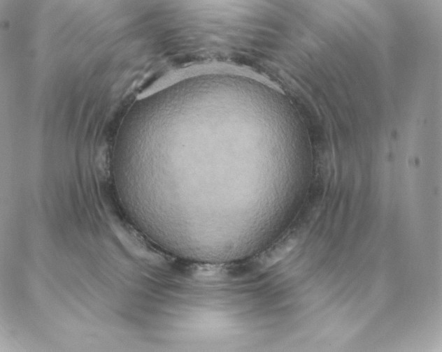 X0000088210088200706051308