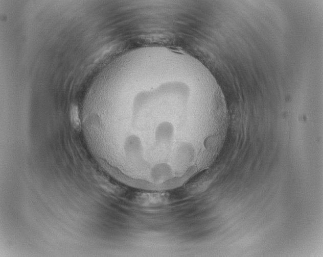 X0000088210089200706051308