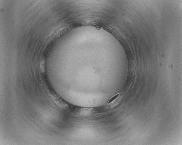 X0000088210090200706051308